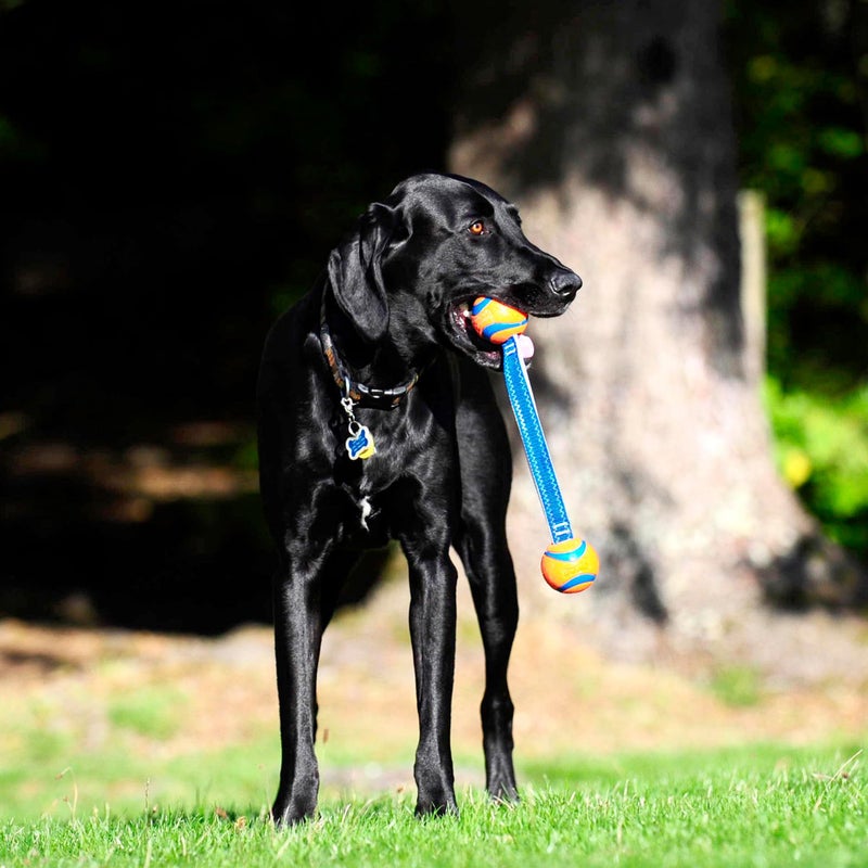 Chuckit! Ultra Duo Tug Dog Toy, Small Indoor and Outdoor Dog Ball for Dogs 0-20 Pounds - Image 5